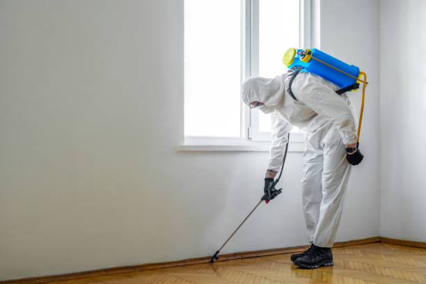 Best Pest Prevention Services  in Ricardo, TX